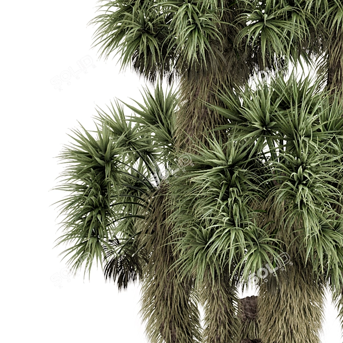 Luxury Outdoor Palm Tree Set 3D model image 4