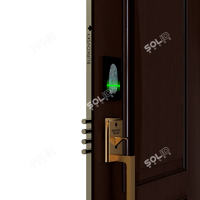 Rustic Wood Exterior Door 3D model image 2