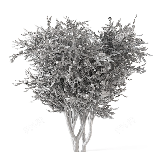 Outdoor Umbrella Tree Model Set 3D model image 5