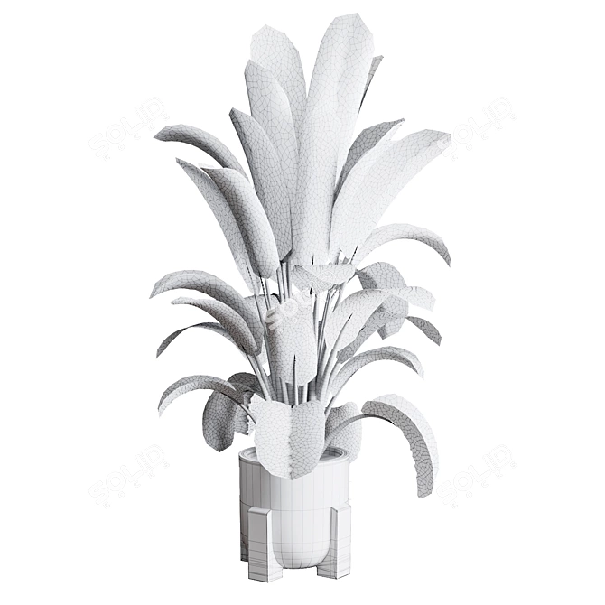 Ficus Plant in Pottery Vase 3D model image 4