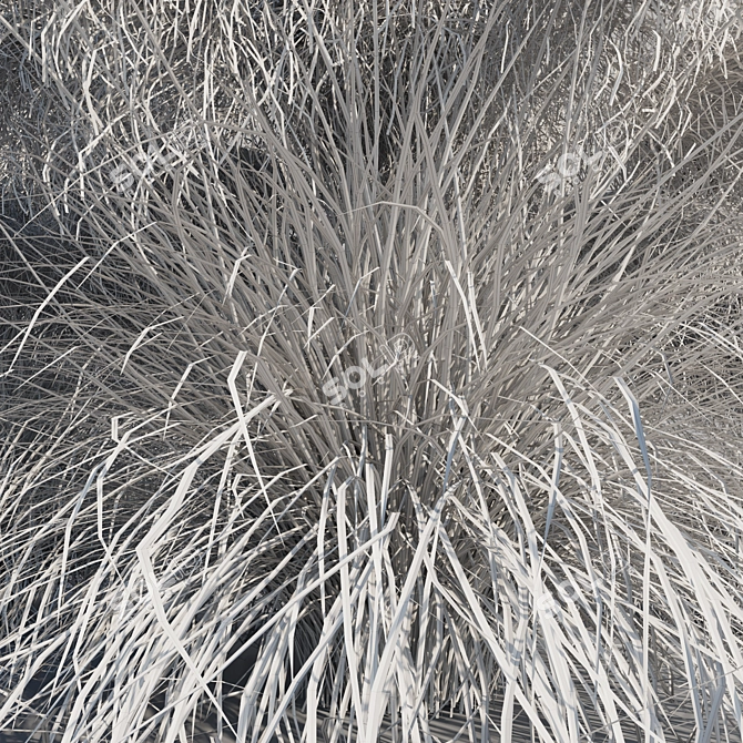 Pink Muhly Grass 3D Model 3D model image 3