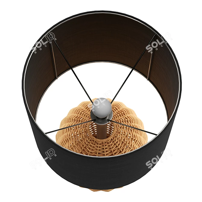 Boho Rattan Sphere Table Lamp 3D model image 3