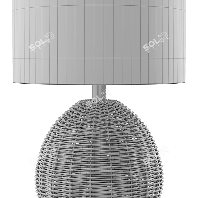 Boho Rattan Sphere Table Lamp 3D model image 6