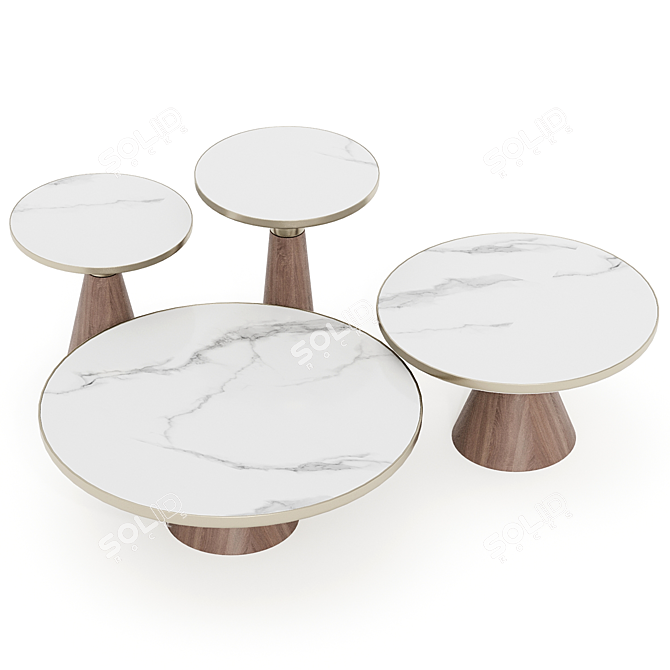 Elegant Modern Coffee Table Set 3D model image 2