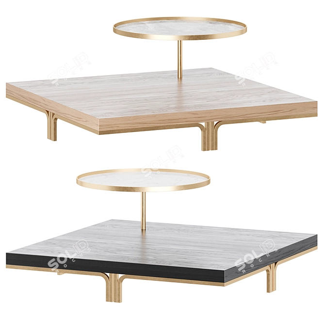 ROSSATO RICHARD Home Coffee Table 3D model image 2