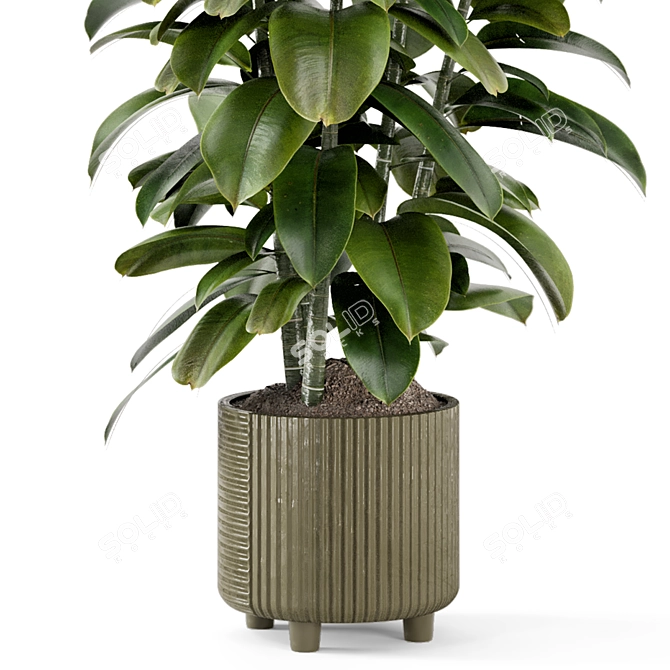 Rusty Concrete Pot Ficus Plant 3D model image 5