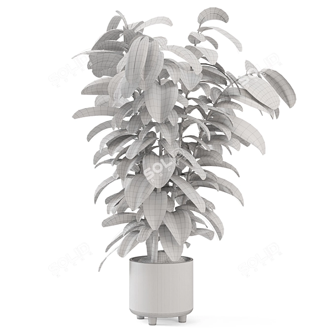 Rusty Concrete Pot Ficus Plant 3D model image 7