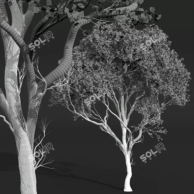 High Detail Sycamore Tree Model 3D model image 4