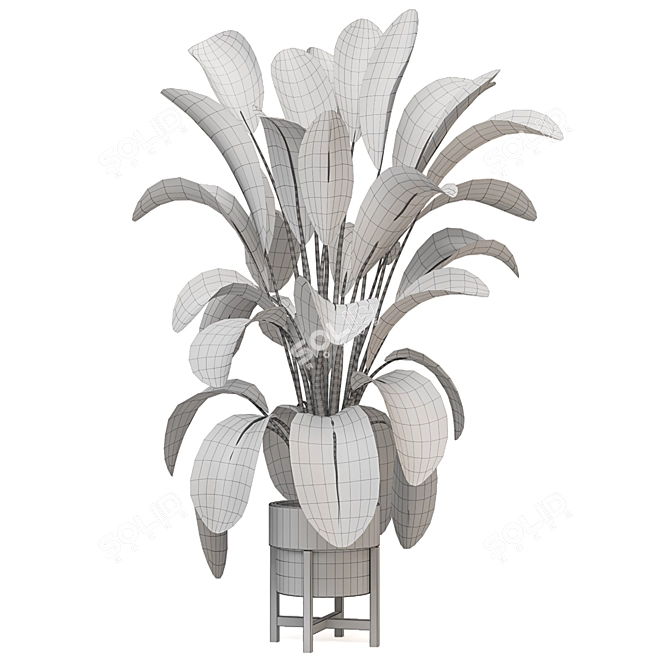 Corona Indoor Plants Collection 472 3D model image 6