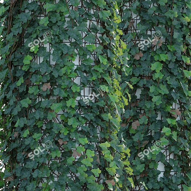 Trunk Ivy Climbing Plant Décor 3D model image 3