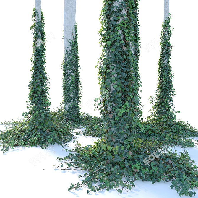 Trunk Ivy Climbing Plant Décor 3D model image 5