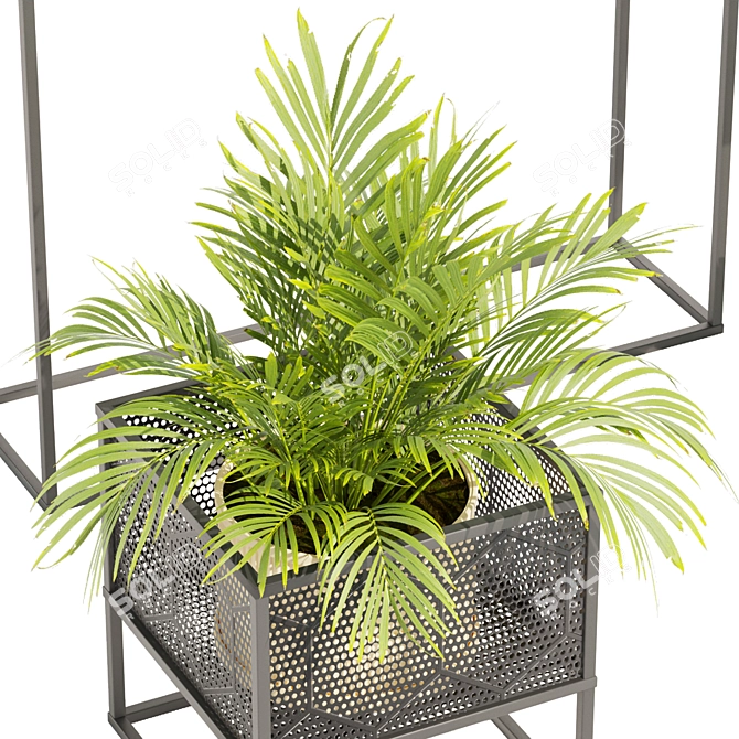 Indoor Plant Variety Collection Vol.375 3D model image 4