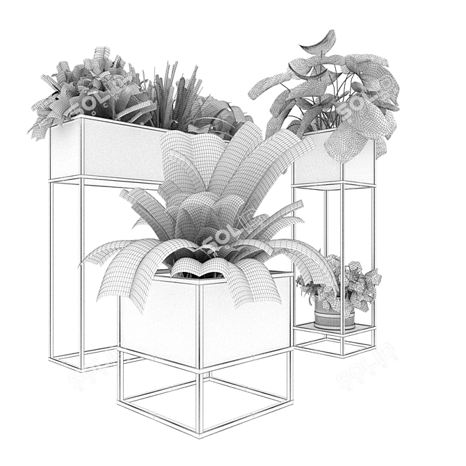 Indoor Plant Variety Collection Vol.375 3D model image 7