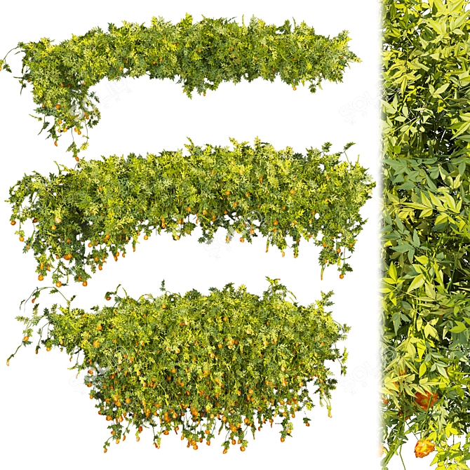 Quality Plant Collection Model 3D model image 1