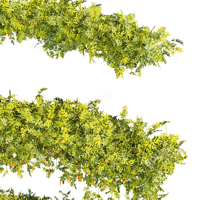 Quality Plant Collection Model 3D model image 2