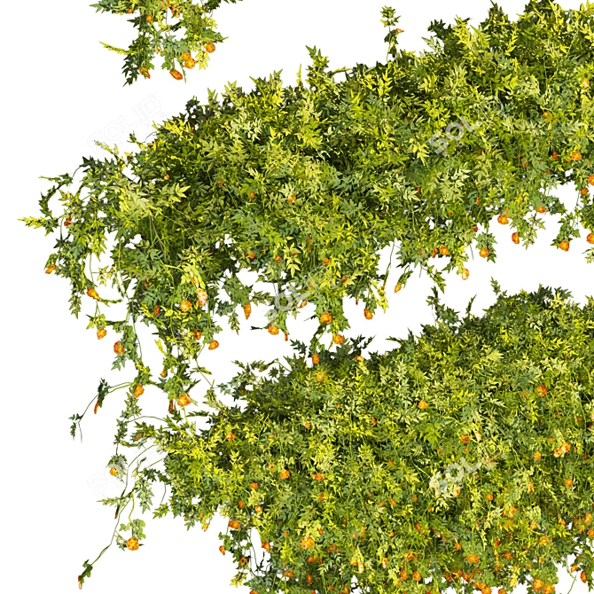 Quality Plant Collection Model 3D model image 3