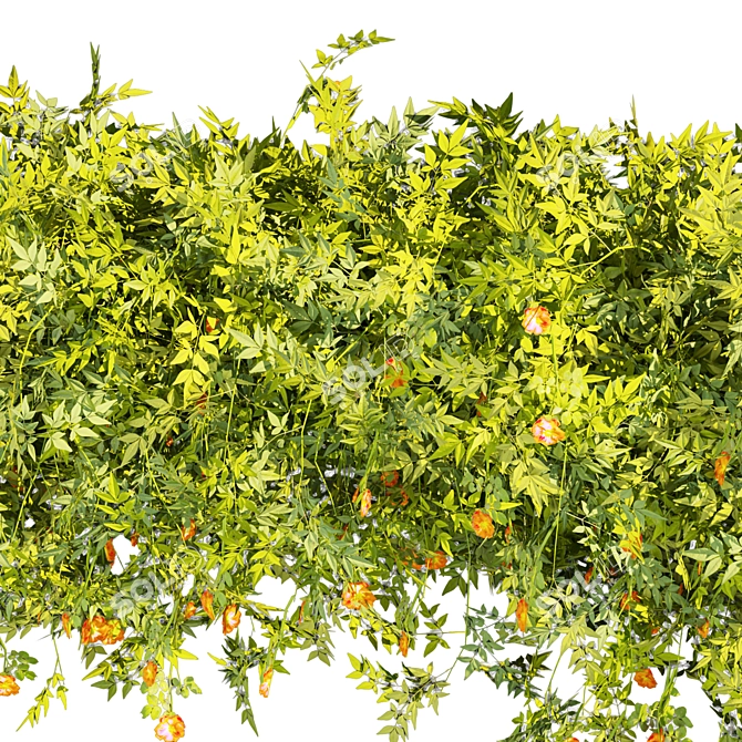 Quality Plant Collection Model 3D model image 4