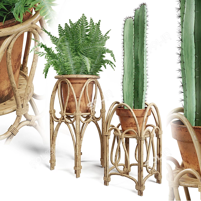 Boho Rattan Plant Stand 3D model image 1