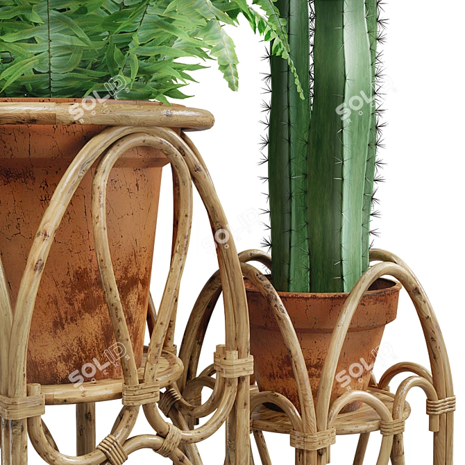 Boho Rattan Plant Stand 3D model image 5