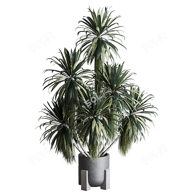 Palm Plant Concrete Vase Décor 3D model image 1