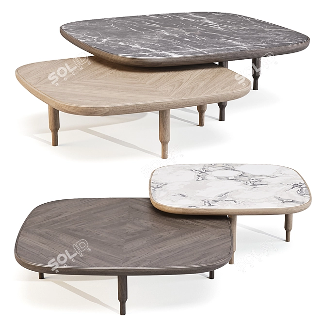 Italian Walnut Coffee Table 3D model image 2