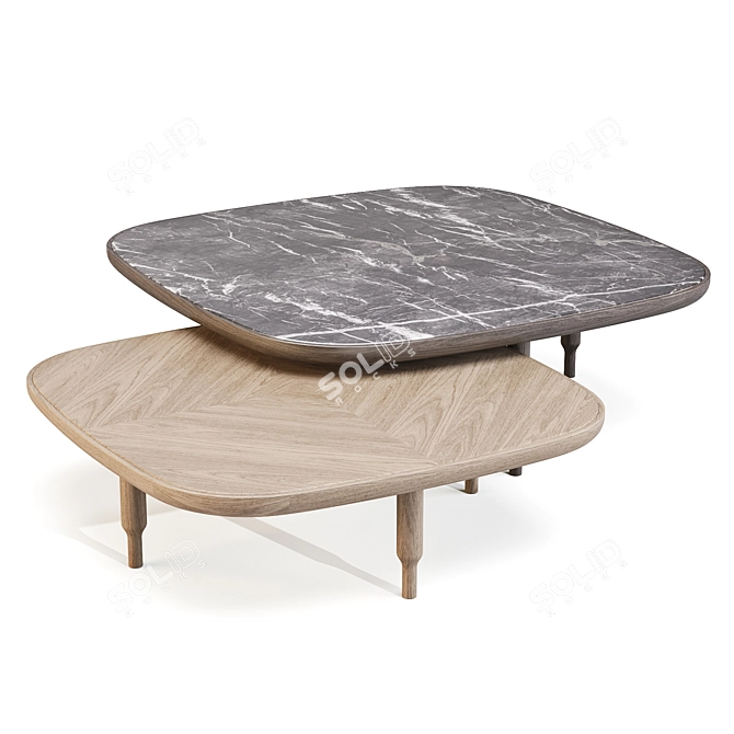 Italian Walnut Coffee Table 3D model image 3
