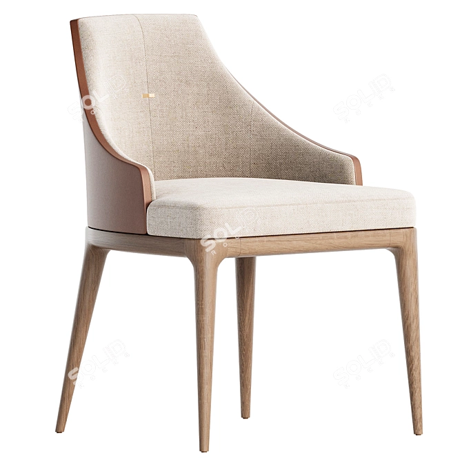 Aster Alaton Modern Dining Chair 3D model image 1