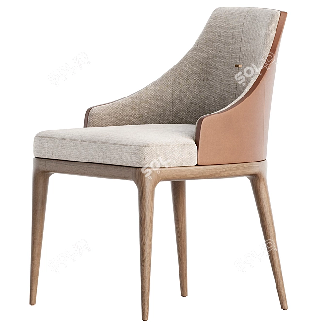 Aster Alaton Modern Dining Chair 3D model image 4