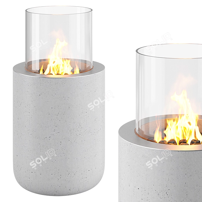 Elegant Flame Fireplace for Interiors 3D model image 1