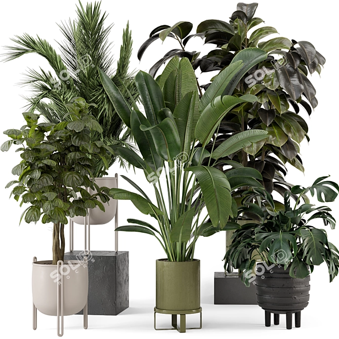 Modern Indoor Plants Set 976 3D model image 1