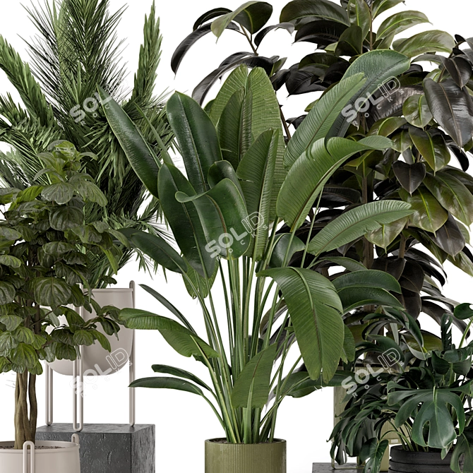 Modern Indoor Plants Set 976 3D model image 2