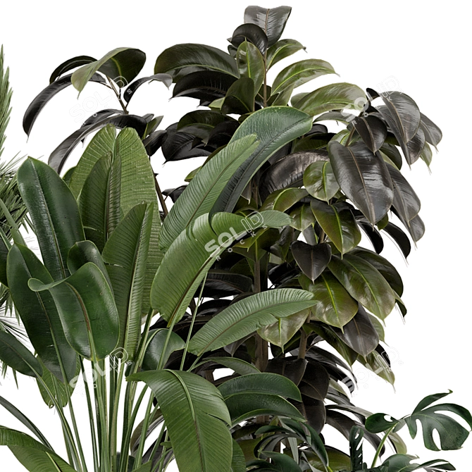 Modern Indoor Plants Set 976 3D model image 3