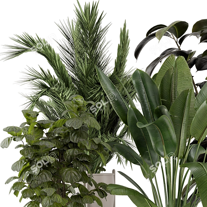 Modern Indoor Plants Set 976 3D model image 4