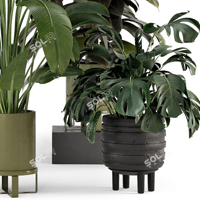 Modern Indoor Plants Set 976 3D model image 5