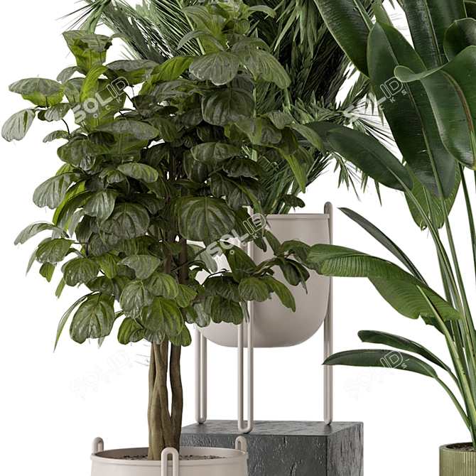 Modern Indoor Plants Set 976 3D model image 6