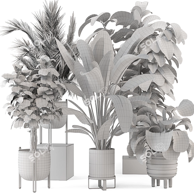 Modern Indoor Plants Set 976 3D model image 7