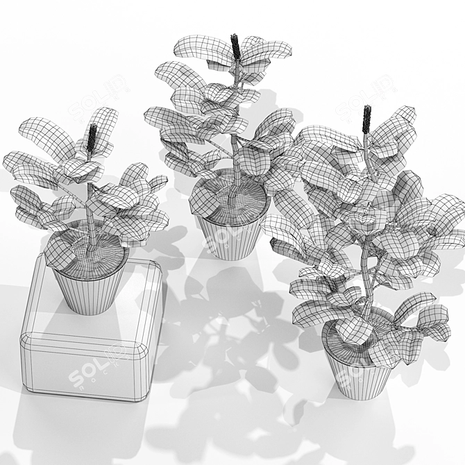 Basil Rayhon Flower Bouquet 3D model image 2