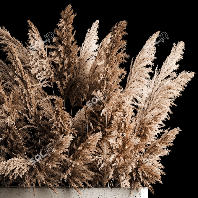 Pampas Reed Bouquet in Concrete Vase 3D model image 4