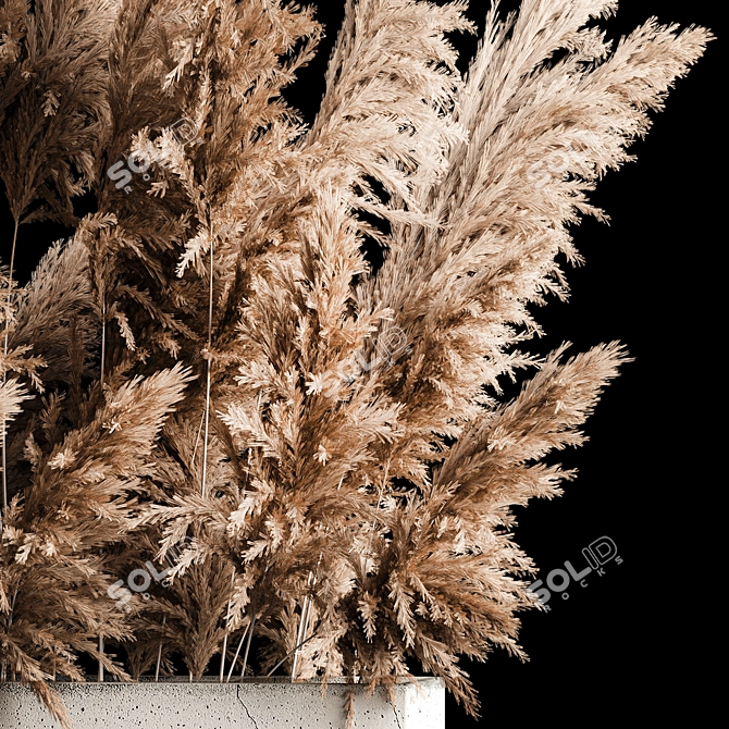 Pampas Reed Bouquet in Concrete Vase 3D model image 5