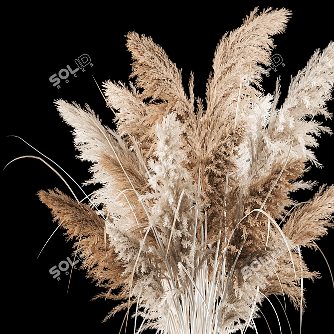 Pampas Reed Bouquet in Black Planter 3D model image 2