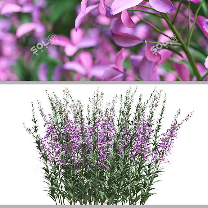 Native Willow Herb Plant Set 3D model image 3