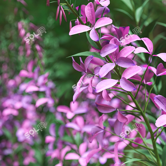 Native Willow Herb Plant Set 3D model image 4