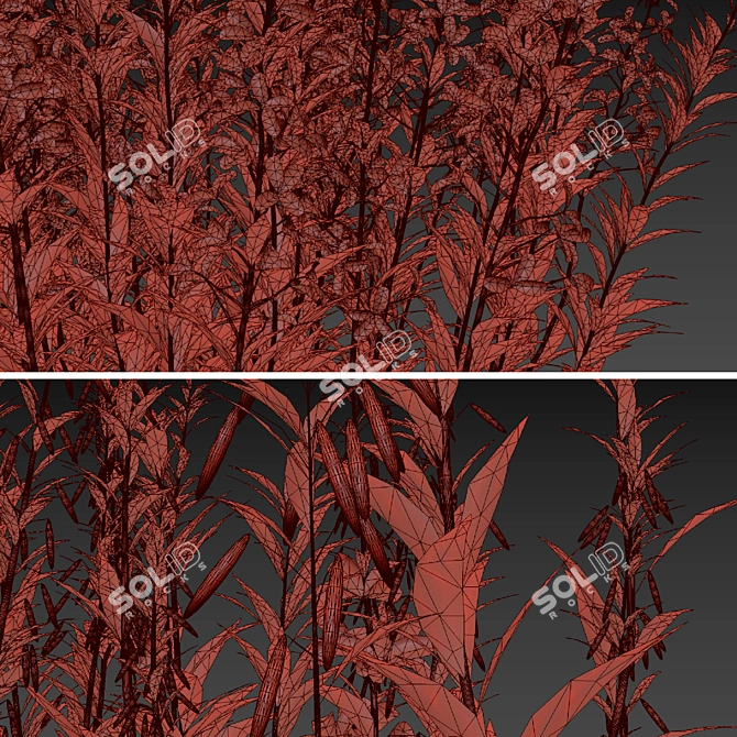 Native Willow Herb Plant Set 3D model image 6