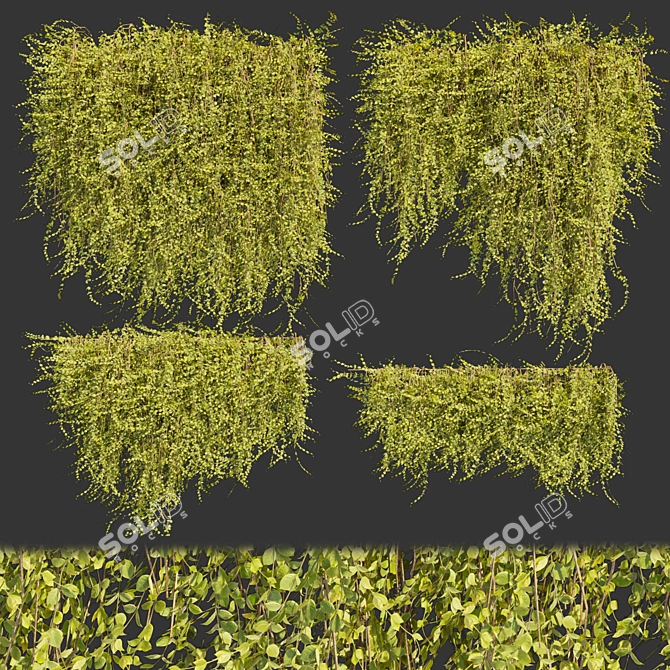Outdoor Ivy Leaf Bush 3D 3D model image 1