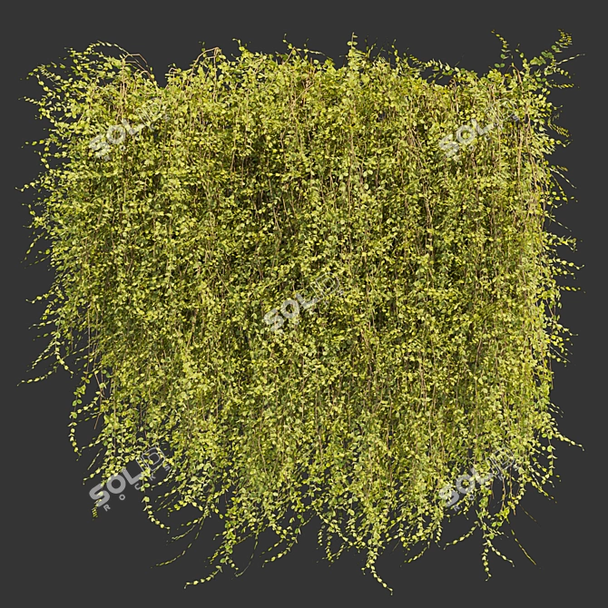 Outdoor Ivy Leaf Bush 3D 3D model image 2