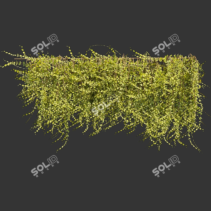 Outdoor Ivy Leaf Bush 3D 3D model image 5