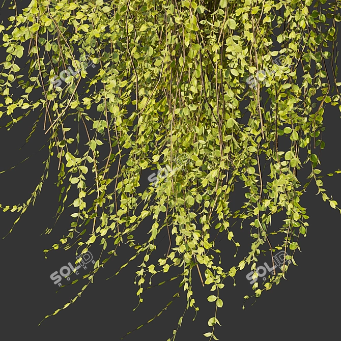 Outdoor Ivy Leaf Bush 3D 3D model image 6