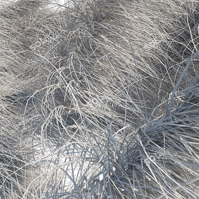 Pink Muhly Grass 3D Model 3D model image 5