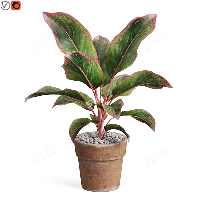 Botanical Bundle 765 3D model image 1