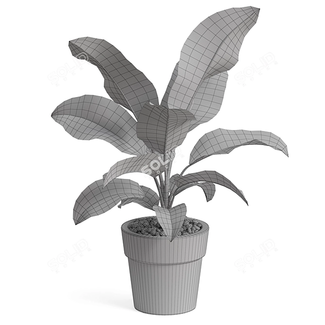 Botanical Bundle 765 3D model image 5